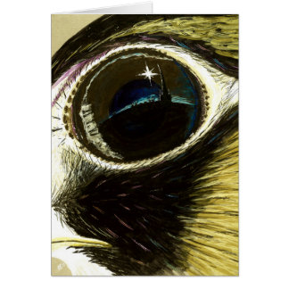 Ausländischer Augenfreier raum