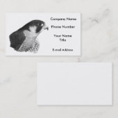 Ausländischer Falke-Bleistift Visitenkarte (Vorne/Hinten)