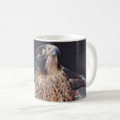 Ausländischer Falke-Tasse Kaffeetasse (VorderseiteRechts)