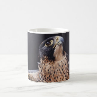 Ausländischer Falke-Tasse Kaffeetasse