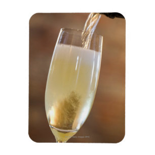 Auslaufender Champagner Magnet