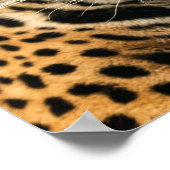 Auslenkungen aushungern, Fokus Gefüttert - Tiger-E Poster (Ecke)