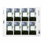 Auslieferung der Adressbezeichnungen coole Öko (Vorne)