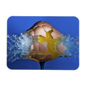 ausnahmsweise magnet (Horizontal)