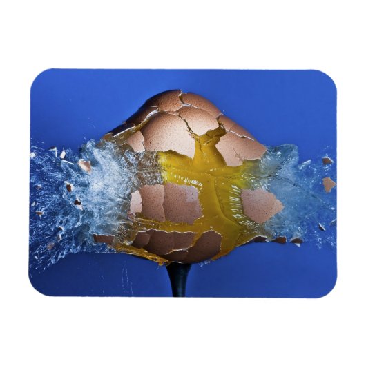 ausnahmsweise magnet (Horizontal)