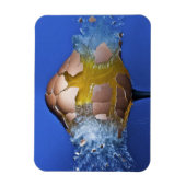 ausnahmsweise magnet (Vertikal)