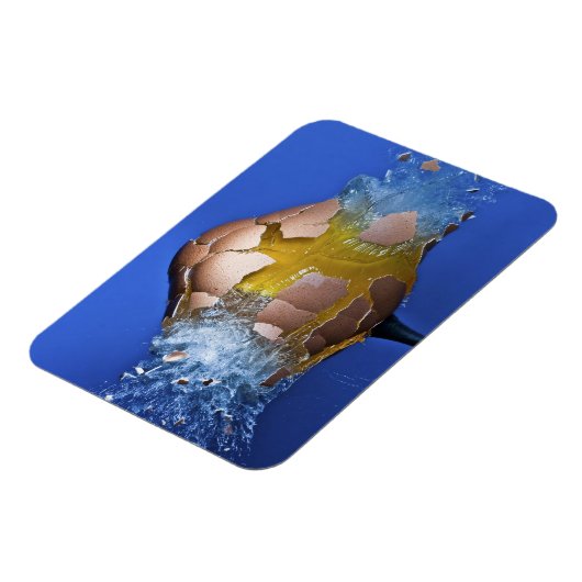 ausnahmsweise magnet (Linke Seite)