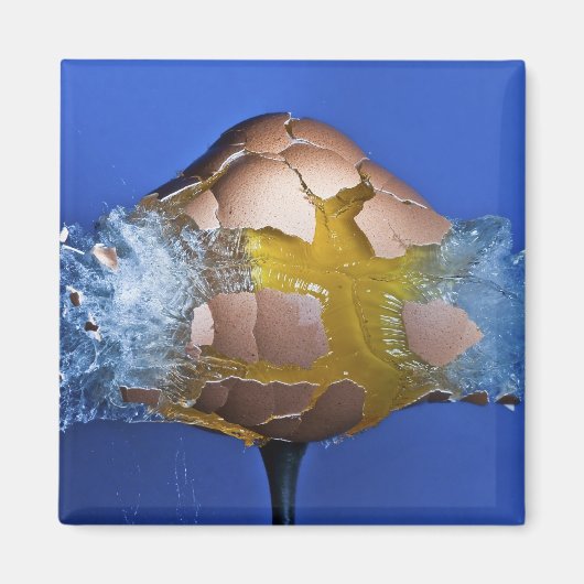 ausnahmsweise magnet (Vorne)