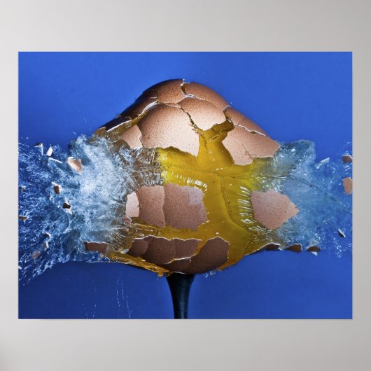 ausnahmsweise poster (Vorne)