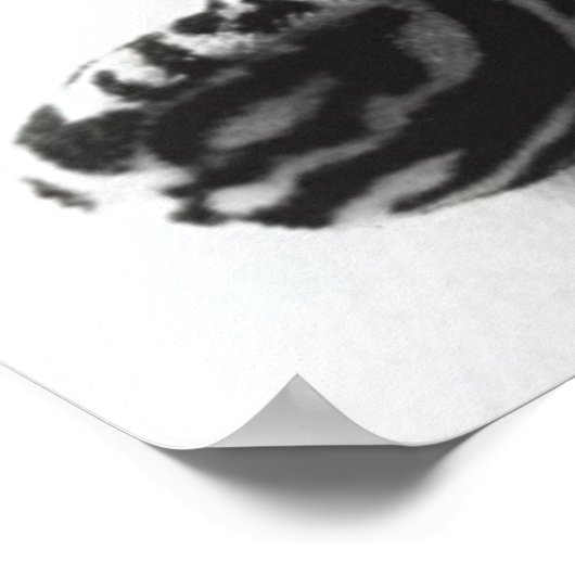 ausnahmsweise poster (Ecke)