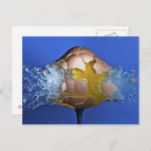 ausnahmsweise postkarte (Vorne/Hinten)