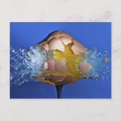 ausnahmsweise postkarte (Vorderseite)