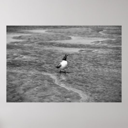 Ausrufen Poster (Vorne)