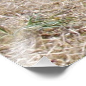 Ausscheider von Bird-of-Prey Fotodruck (Ecke)