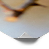 Ausschneiden japanischer Aprikosenblüten Poster (Ecke)