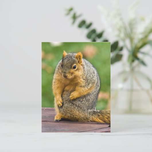 Ausschneiden Postkarte (Stehend Vorderseite)