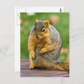 Ausschneiden Postkarte (Vorne/Hinten)