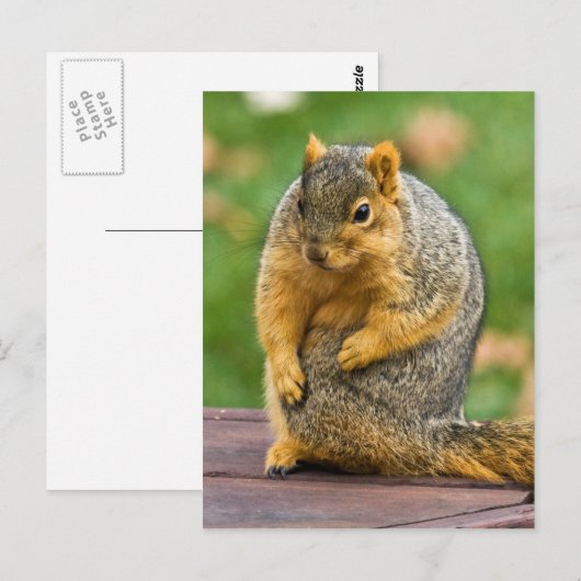 Ausschneiden Postkarte (Vorne/Hinten)