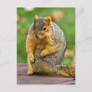 Ausschneiden Postkarte