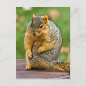 Ausschneiden Postkarte (Vorderseite)