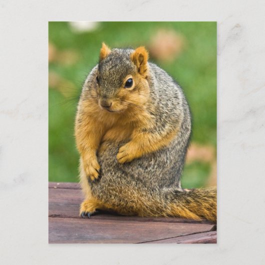 Ausschneiden Postkarte (Vorderseite)