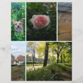 Ausschneiden von Flyer-Quadrat-Bilder Gartenarbeit Flyer (Hinten)