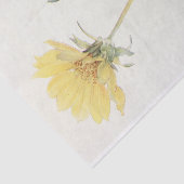 Ausschnitt aus Balsam-Root von Margaret Armstrong Seidenpapier (Ausschnitt)