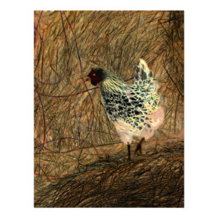 "Aussehen" - Digital transformiertes Huhn auf Hay Fotodruck