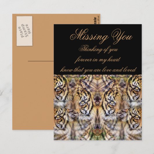 Aussehen_ Postkarte (Vorne/Hinten)