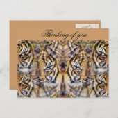 Aussehen_ Postkarte (Vorne/Hinten)