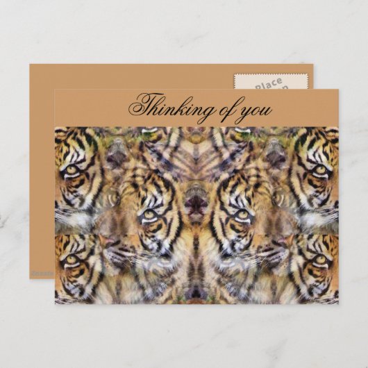 Aussehen_ Postkarte (Vorne/Hinten)