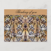 Aussehen_ Postkarte (Vorderseite)