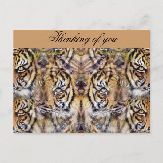 Aussehen_ Postkarte (Vorderseite)