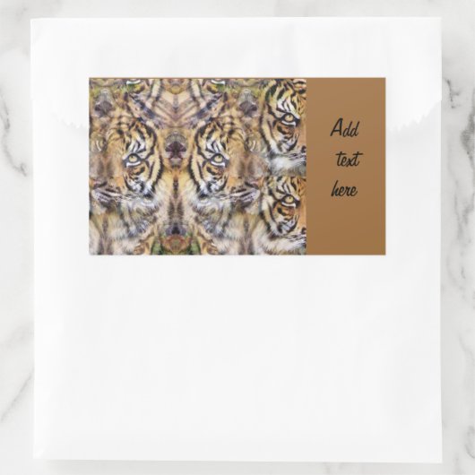 Aussehen_ Rechteckiger Aufkleber (Tasche)