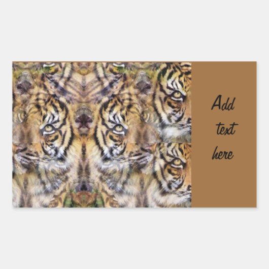 Aussehen_ Rechteckiger Aufkleber (Vorderseite)