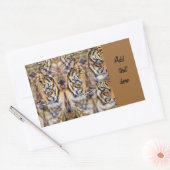 Aussehen_ Rechteckiger Aufkleber (Umschlag)