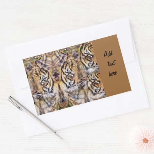 Aussehen_ Rechteckiger Aufkleber (Umschlag)