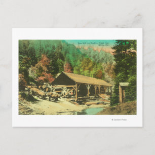 Außenansicht der Sägemühle auf der Bodfish Creek Postkarte