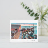 Außenansicht des Del Monte Sardine Postkarte (Stehend Vorderseite)