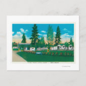 Außenansicht des Pine Tree Auto Camp Postkarte (Vorderseite)