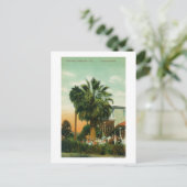 Außenansicht Hotel au Palm Postkarte (Stehend Vorderseite)