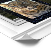 Außenansicht - Misty Morning Poster (Ecke)