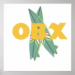 Außenbänke der OBX-Pools Poster