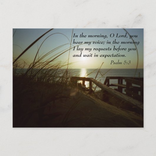 Außenbanken morgens 4 postkarte (Vorderseite)