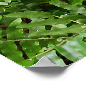 Außengrenzen I Grüne Natur Poster (Ecke)