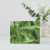 Außengrenzen I Grüne Natur Postkarte (Stehend Vorderseite)