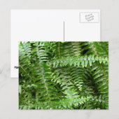 Außengrenzen I Grüne Natur Postkarte (Vorne/Hinten)