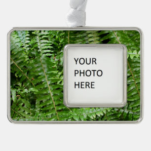 Außengrenzen I Grüne Natur Rahmen-Ornament Silber