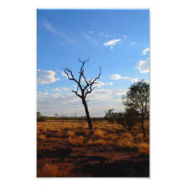 Außenlandschaft Fotodruck