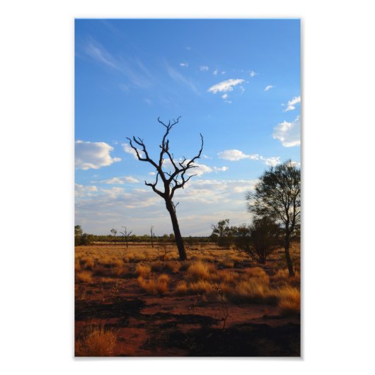 Außenlandschaft Fotodruck (Vorne)